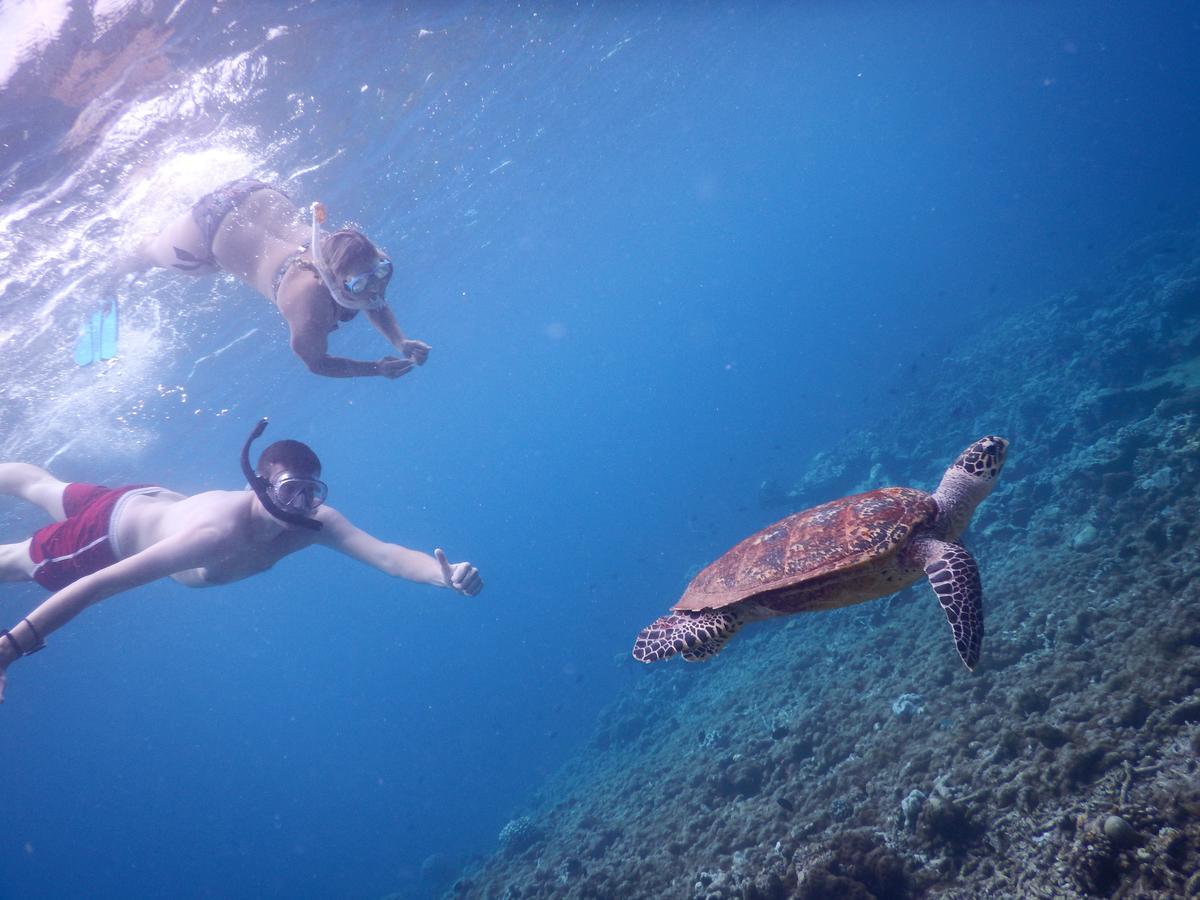 فندق Equa Reef Maldives أدو أتول المظهر الخارجي الصورة