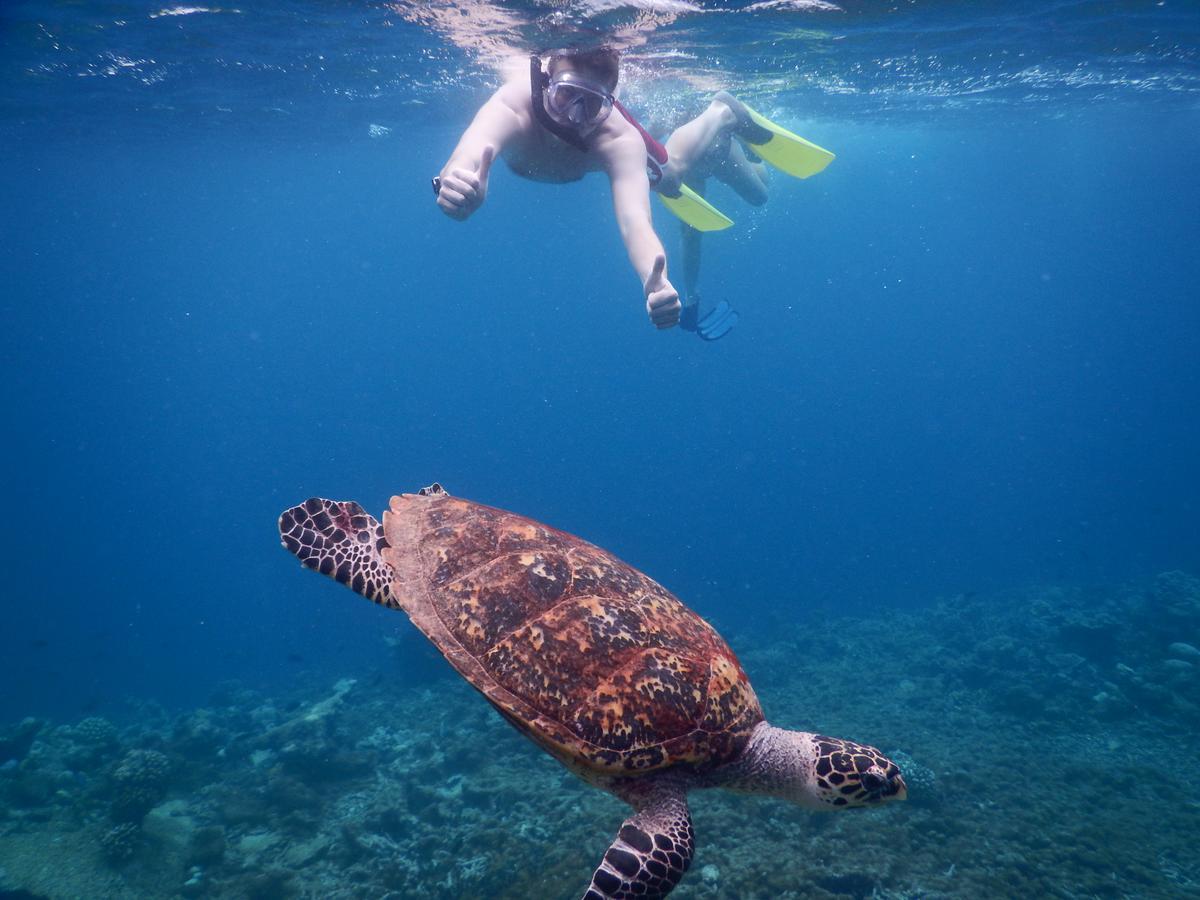 فندق Equa Reef Maldives أدو أتول المظهر الخارجي الصورة