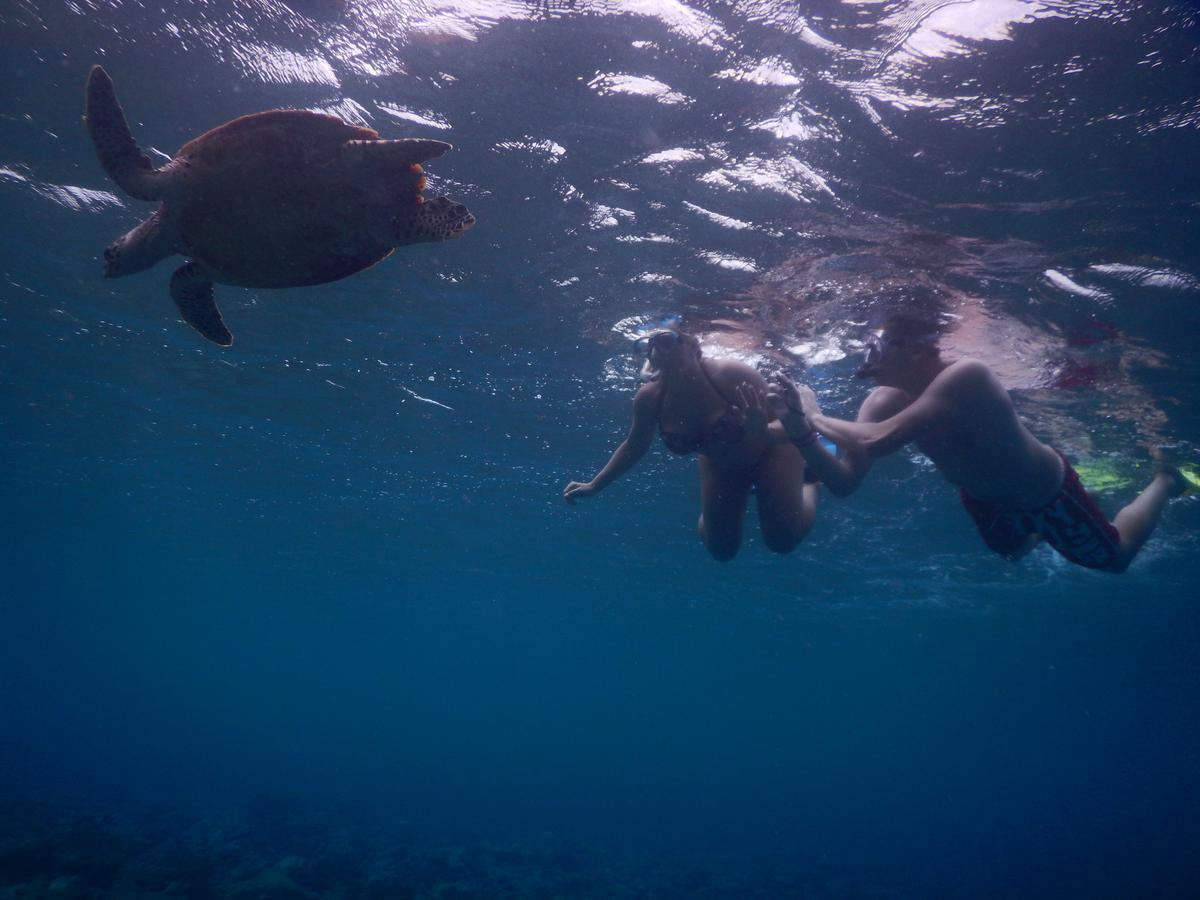 فندق Equa Reef Maldives أدو أتول المظهر الخارجي الصورة