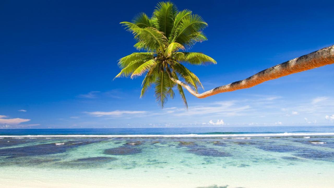 فندق Equa Reef Maldives أدو أتول المظهر الخارجي الصورة